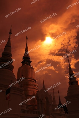 Die Architektur des Wat Suan Dok Tempel in Chiang Mai im Norden von Thailand. 