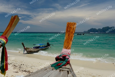 A Beach on the Island of Ko PhiPhi on Ko Phi Phi Island outside of the City of Krabi on the Andaman Sea in the south of Thailand. 