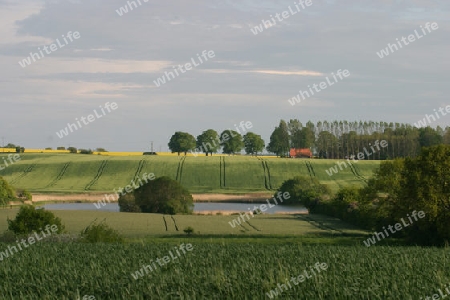 Landschaft am Ornumer Noor