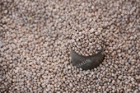 fresh beans at the Market at the Village of Phaung Daw Oo at the Inle Lake in the Shan State in the east of Myanmar in Southeastasia.