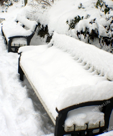 schneebedeckte b?nke im park