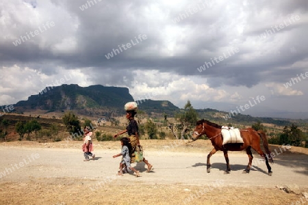 Die Landschaft bei Loihuno in Zental Ost Timor auf der in zwei getrennten Insel Timor in Asien.