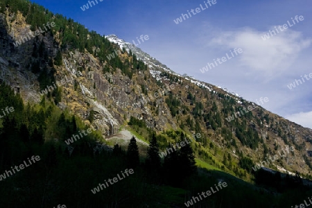 Im Floitengrund bei Ginzling/?sterreich