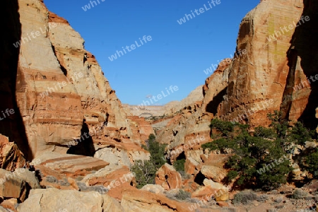 Cohab Canyon, Capitol Reef National Park, Utah