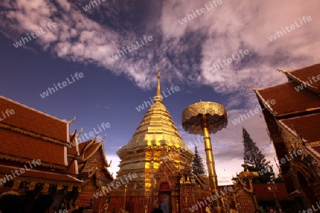 Der Chedi der Tempel Anlage des Wat Phra That Doi Suthep bei Chiang Mai in der Provinz Chiang Mai im Norden von Thailand in Suedostasien.