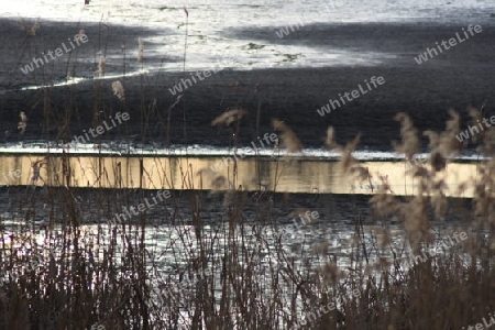 Ausgetrockneter See mit goldenem "Spiegel"