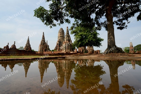 The Wat Chai Wattanaram Temple in City of Ayutthaya in the north of Bangkok in Thailand, Southeastasia.