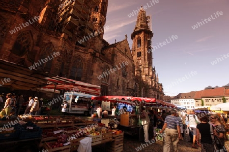 the market in the old town of Freiburg im Breisgau in the Blackforest in the south of Germany in Europe.