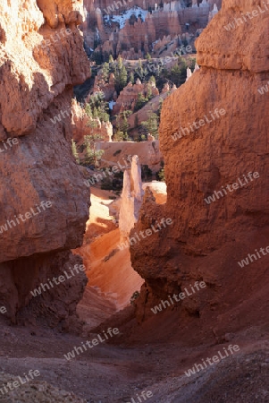 Bryce Canyon USA