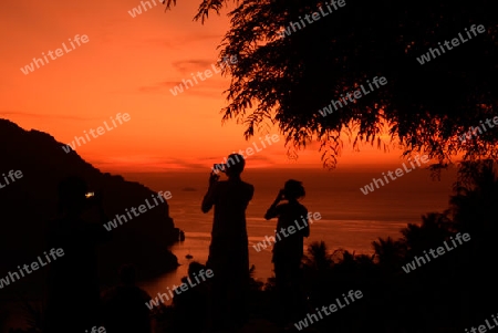 The view from the Viewpoint on the Town of Ko PhiPhi on Ko Phi Phi Island outside of the City of Krabi on the Andaman Sea in the south of Thailand. 