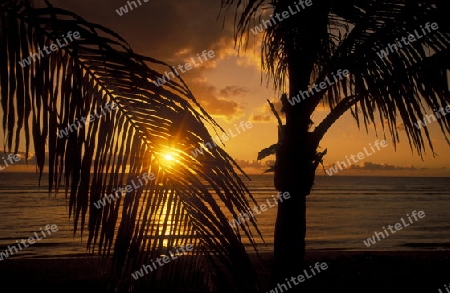 a Beach near St Gilles les Bains on the Island of La Reunion in the Indian Ocean in Africa.