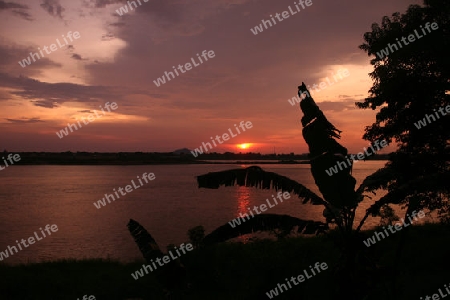 Die Landschaft des Grenzfluss Mekong River in Stadt Savannahet in zentral Laos an der Grenze zu Thailand in Suedostasien.