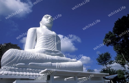 Asien, Indischer Ozean, Sri Lanka,Die Grosse Buddha Statue von Kandy im Zentralen Gebierge von Sri Lanka. (URS FLUEELER)