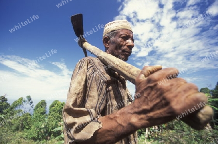 a worker in the city of Moutsamudu on the Island of Anjouan on the Comoros Ilands in the Indian Ocean in Africa.   