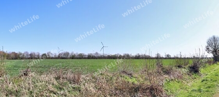 Beautiful high resolution panorama of a northern european country landscape with fields and green grass.