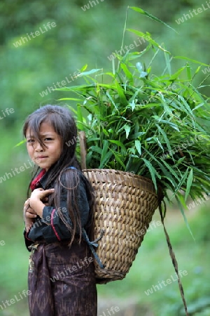 Menschen in der Landschaft in der Bergregion beim Dorf Kasi an der Nationalstrasse 13 zwischen Vang Vieng und Luang Prabang in Zentrallaos von Laos in Suedostasien.  