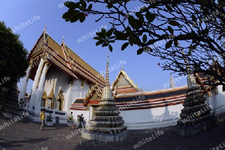 Die Tempelanlage des Wat Pho in der Hauptstadt Bangkok von Thailand in Suedostasien.