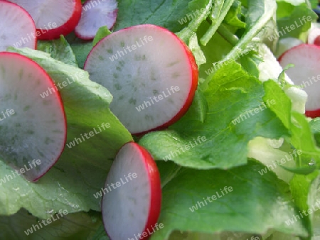 Green salad with radish