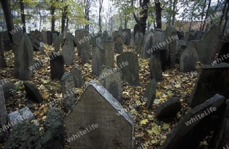 Der Juedische Friedhof von Prag der Hauptstadt der Tschechischen Republik.
