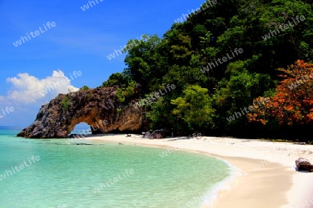 KOH KAI  LIEBESTOR nachbarinsel von Koh Lipe /Thailand