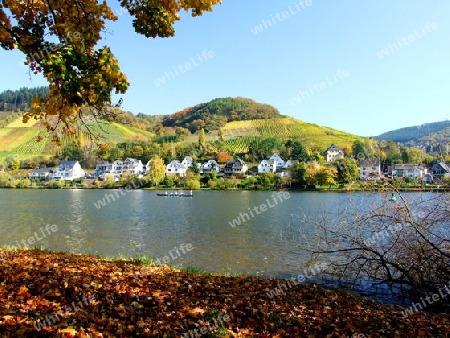 Bullay an der Mosel