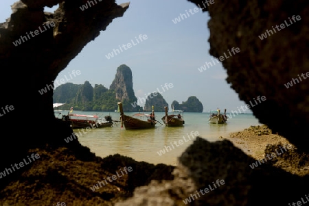 The Hat Tom Sai Beach at Railay near Ao Nang outside of the City of Krabi on the Andaman Sea in the south of Thailand. 