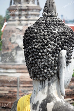 Der Wat Yai Chai Tempel in der Tempelstadt Ayutthaya noerdlich von Bangkok in Thailand.