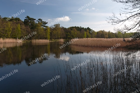 Prerowstrom in Prerow auf dem Darss, Nationalpark Vorpommersche Boddenlandschaft, Deutschland