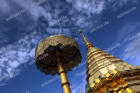 Der Chedi der Tempel Anlage des Wat Phra That Doi Suthep bei Chiang Mai in der Provinz Chiang Mai im Norden von Thailand in Suedostasien.