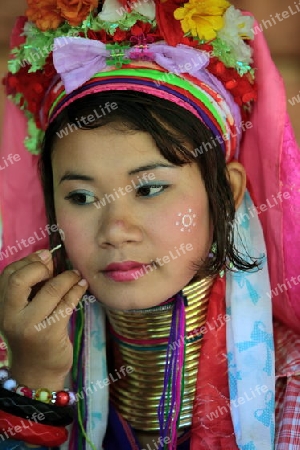 Eine Traditionell gekleidete Langhals Frau eines Paudang Stammes aus Burma lebt in einem Dorf noerdlich von Chiang Mai in Nord Thailand. 