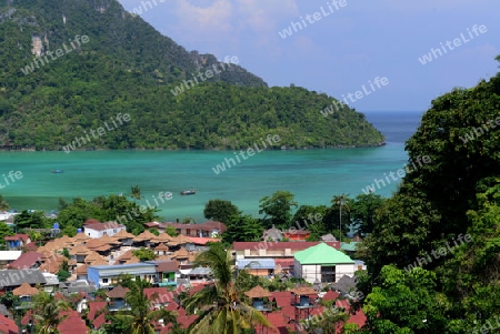 The view from the Viewpoint on the Town of Ko PhiPhi on Ko Phi Phi Island outside of the City of Krabi on the Andaman Sea in the south of Thailand. 