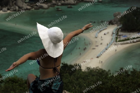 Die Strand und Insellandschaft auf der Insel Koh Naang Yuan neben der Insel Ko Tao im Golf von Thailand im Suedwesten von Thailand in Suedostasien. 