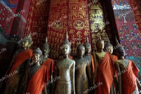 Buddhafiguren in einem der Tempel Xieng Thong in der Altstadt von Luang Prabang in Zentrallaos von Laos in Suedostasien