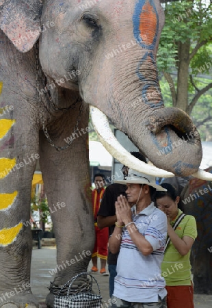 Das Songkran Fest oder Wasserfest zum Thailaendischen Neujahr ist im vollem Gange in Ayutthaya noerdlich von Bangkok in Thailand in Suedostasien.  