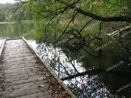 Herbst am See