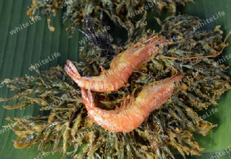 Shrimp mit Seegrass auf einem Regional Markt auf der Insel Phuket im sueden von Thailand in Suedostasien.