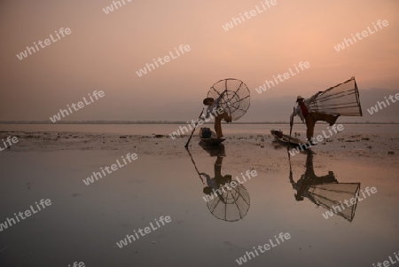 Fishermen at sunrise in the Landscape on the Inle Lake in the Shan State in the east of Myanmar in Southeastasia.