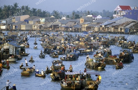 Auf dem Schwimmenden Markt auf dem Mekong River in Phung Hiep bei der Stadt Cantho im Mekong Delta im sueden von Vietnam in Suedostasien.  