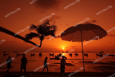Der Strand  von Hat Sai Ri auf der Insel Ko Tao im Golf von Thailand im Suedwesten von Thailand in Suedostasien.