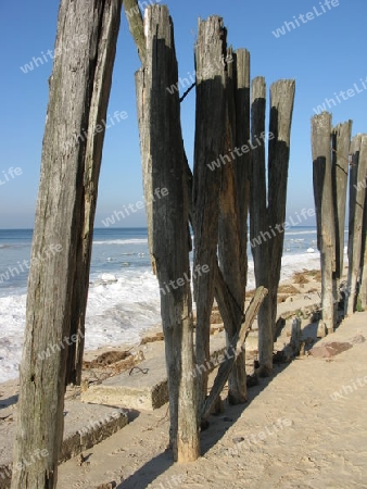 Alte Holzpfähle am Strand