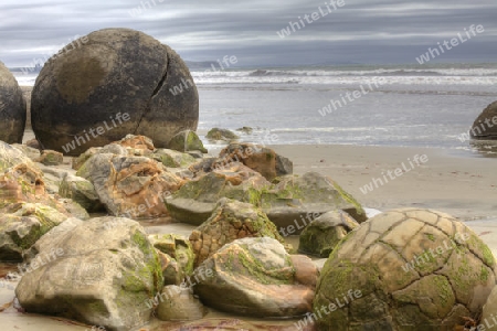 Moeraki Boulders