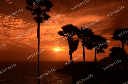 Der Aussichtspunkt Kap Promthep bei der Rawai Beach im sueden der Insel Phuket im sueden von Thailand in Suedostasien.