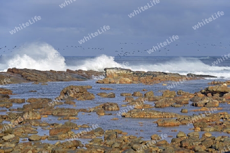 St?rmische See bei Gewitterstimmung am Morgen am Kap der guten Hoffnung, Cape of good Hope, West Kap, western Cape, S?dafrika, Afrika