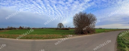 Beautiful high resolution panorama of a northern european country landscape with fields and green grass.