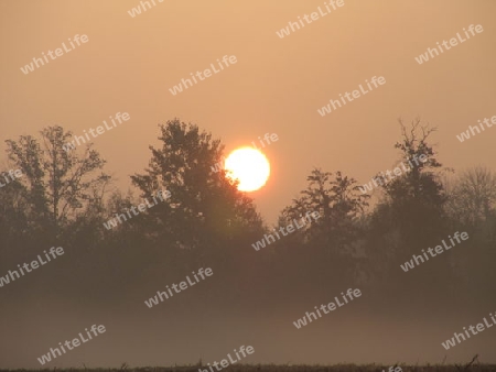 Sonnenaufgang im Herbst