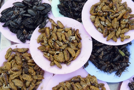 Insekten auf dem Markt in Amnat Charoen im Isan im osten von Thailand,