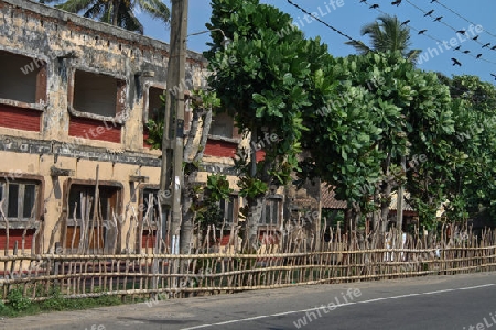 Stra?enszene in Galle - Sri Lanka