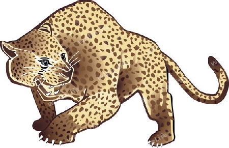 leopart