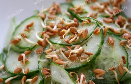 gurkensalat