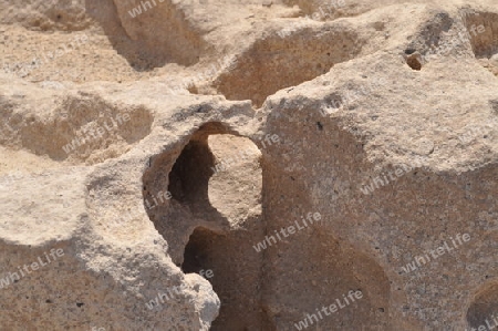 Fuerteventura